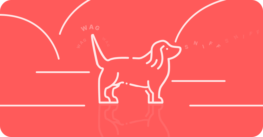 Hugo the spaniel on a red background with hills and countryside behind him.