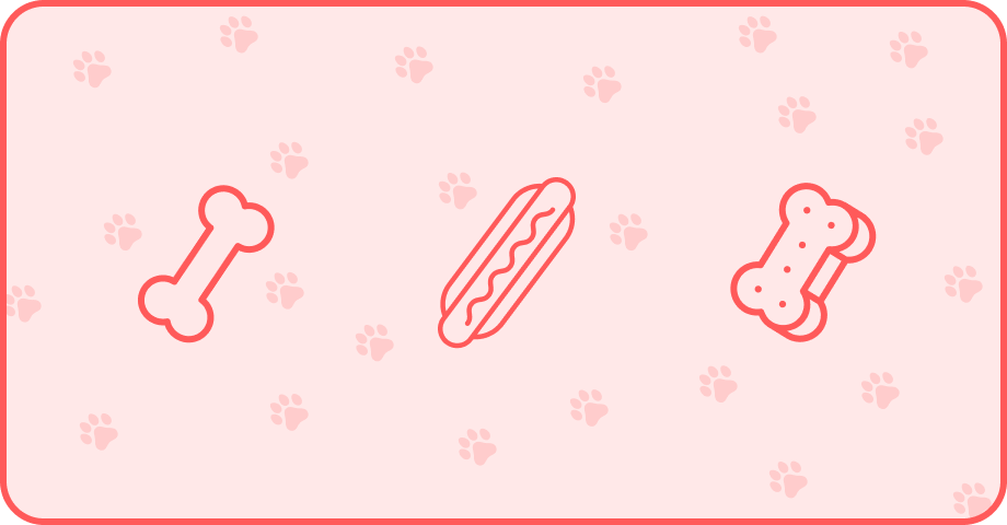 Three delicious treats for dogs for the summer